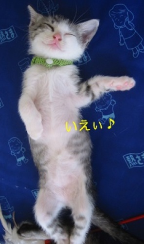 20140715_2.jpg