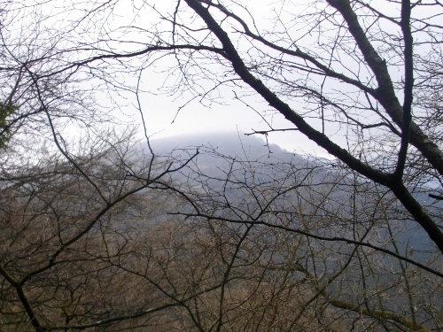 箱根外輪山三国山 (1) (500x375).jpg