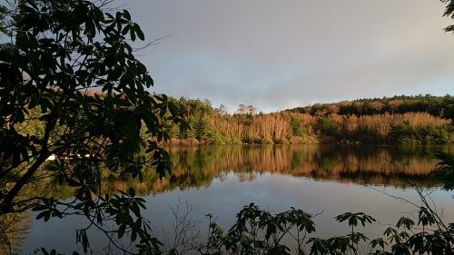 DSC_0031.jpg