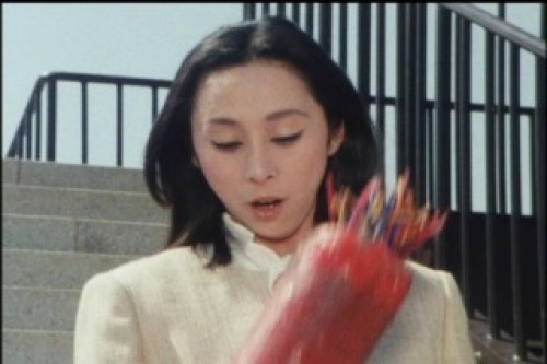 PDVD_024.jpg