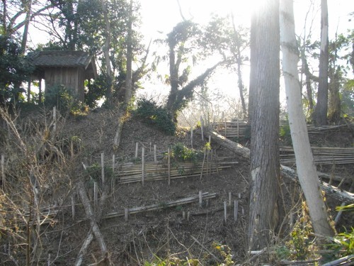 青鳥城空堀 (500x375).jpg