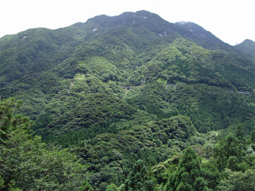 屋久島18.jpg