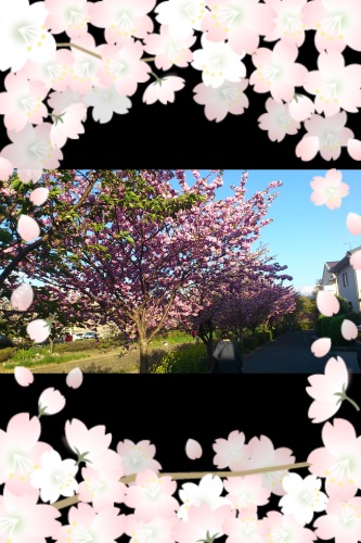 201304212151_7353_iphone.jpg