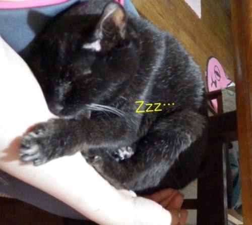 20150622_7.jpg