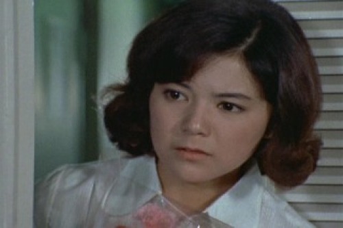 PDVD_014.jpg
