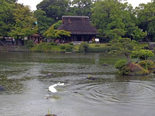 水前寺成趣園084.jpg