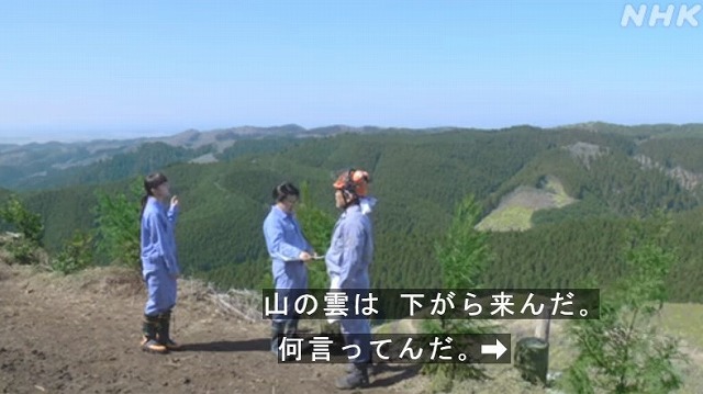 6ページ目の記事一覧 幸せに日向ぼっこ 楽天ブログ