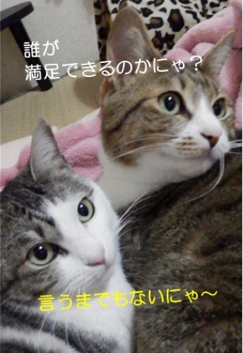 20140410_3.jpg