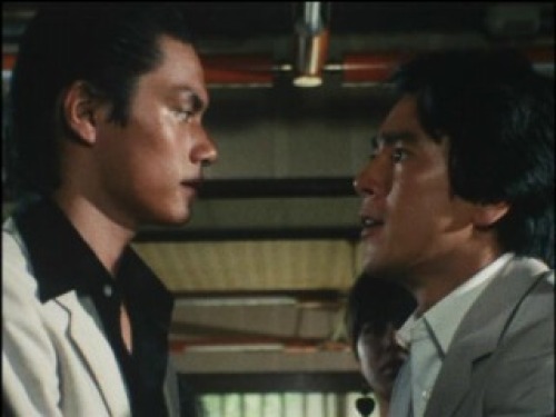 PDVD_031.jpg