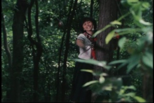 PDVD_027.jpg