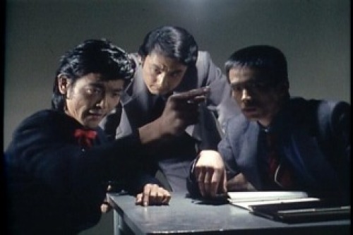 PDVD_011.jpg