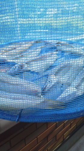 201209272209_7881_iphone.jpg