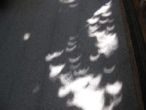 金環日食　2012.05.21 019.jpgブログ.jpg