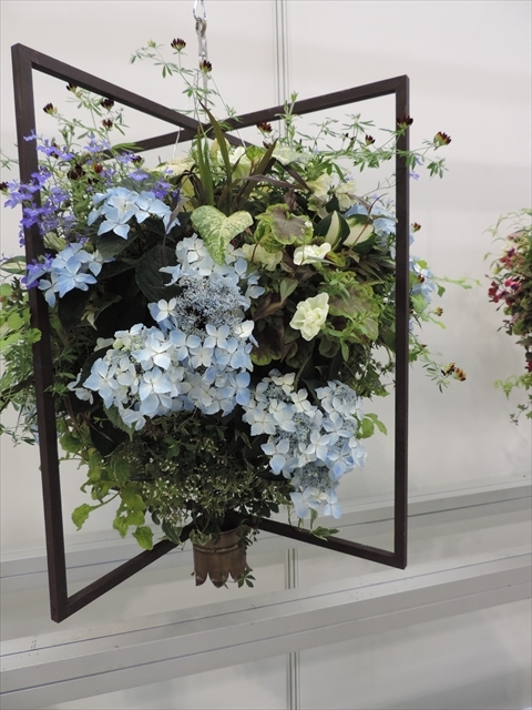 ベロニカ ミセスホルト 田舎の花屋日記 楽天ブログ