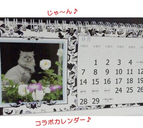 20150909_2.jpg
