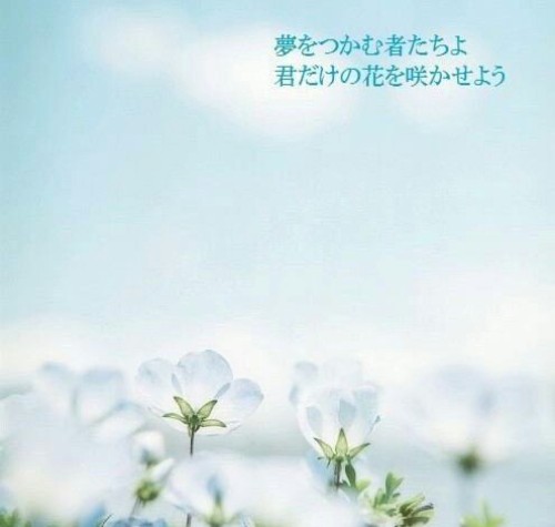 11ページ目の記事一覧 翔パパ555のブログ 楽天ブログ