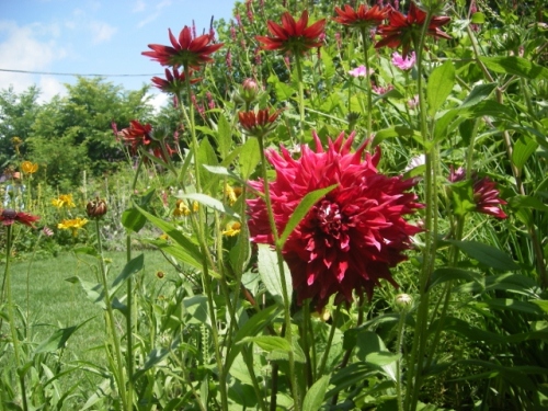 IMGP0082 (640x480).jpg