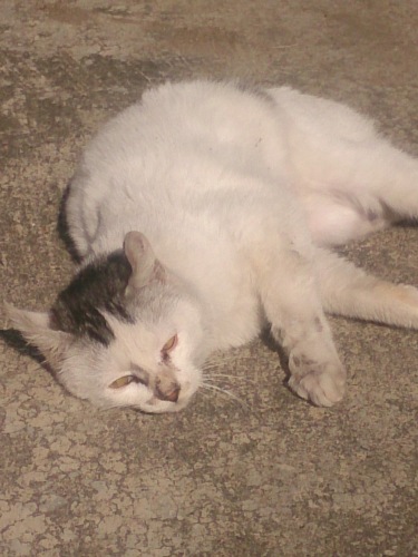 DSC_1349.jpg