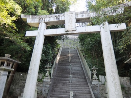 DSCF8656.JPG