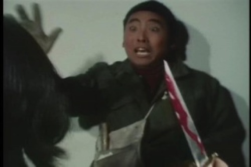 PDVD_011.jpg