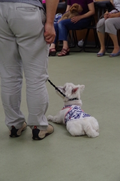 中7IMGP1109.jpg