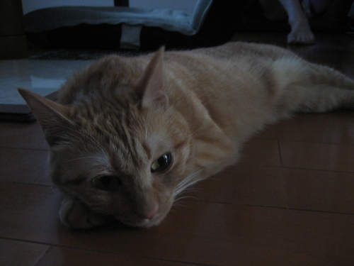 July 07, 2013(1).JPG