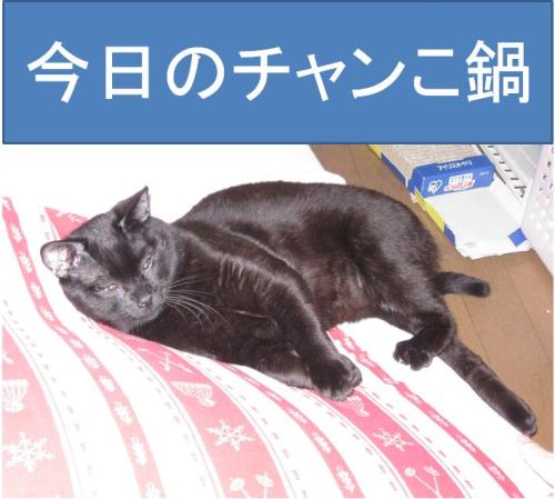 チャン1.jpg