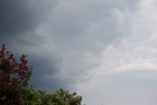 IMG_6212 (400x267).jpg