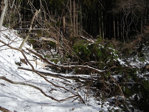 20140216山道１.jpg