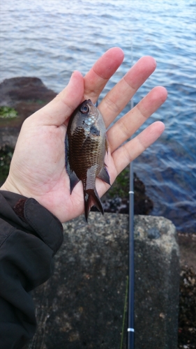 01009_R.JPG