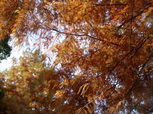 44_03.jpg