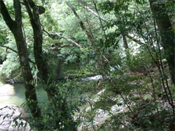 屋久島26.jpg