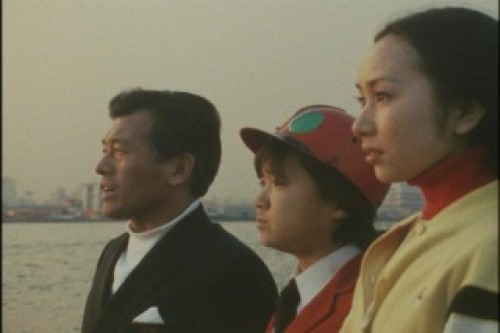 PDVD_031.jpg