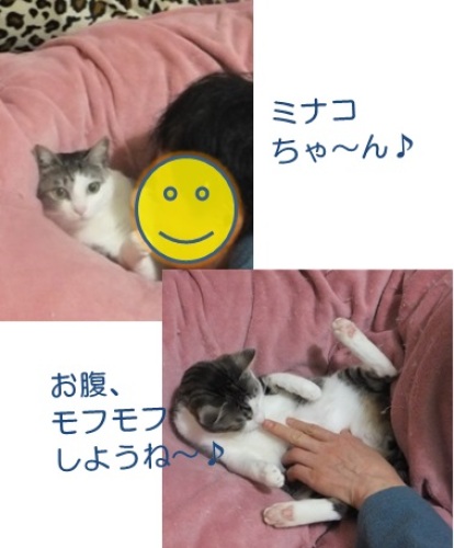 20130504_5.jpg