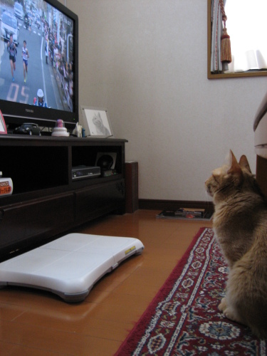 Jan. 02, 2015(3).JPG