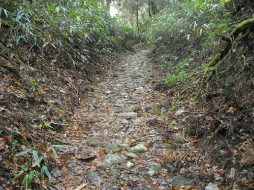 箱根外輪山旧東海道釜石坂 (1) (500x375).jpg