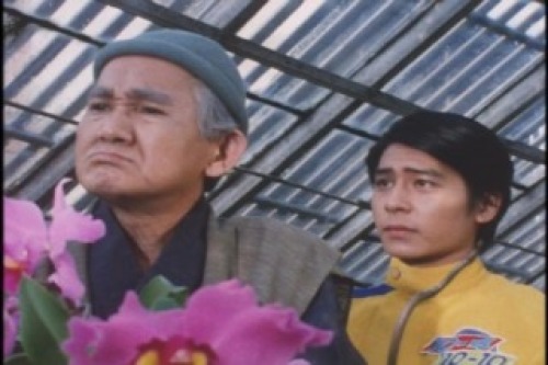 PDVD_007.jpg
