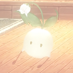 本の精霊