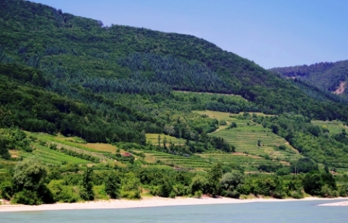 pict-クルーズ 14.jpg