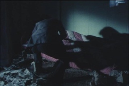 PDVD_010.jpg