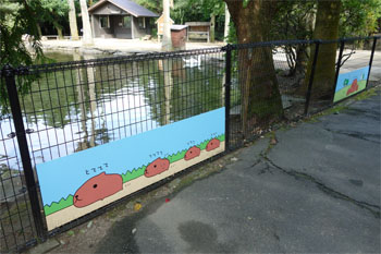 九州497.jpg