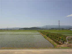 村山3.jpg