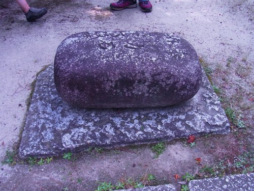 大徳寺山内散策 (107)0013.jpg