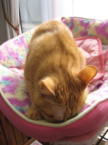 Jan. 19, 2015(3).JPG