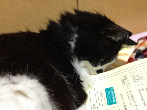 2013-04-15 23.26.54.jpg