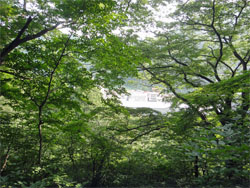 熱海荘83.jpg