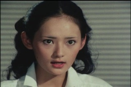 PDVD_008.jpg