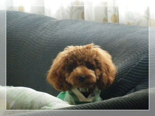 DSCF4864.JPG