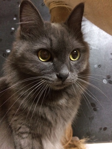 IMG_0593 - コピー.JPG