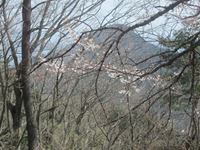 IMG_3454_R.JPG